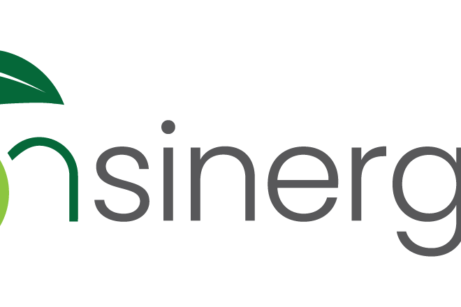 insinergia_logo